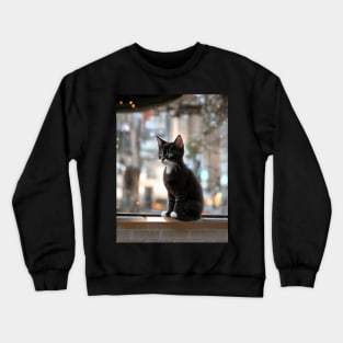 Cute kittens beautiful cats Crewneck Sweatshirt